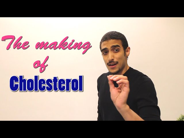 Cholesterol Synthesis  شرح بالعربي