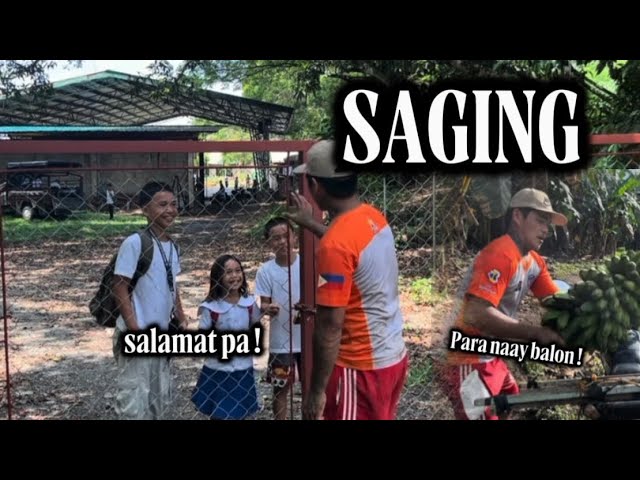 SAGING