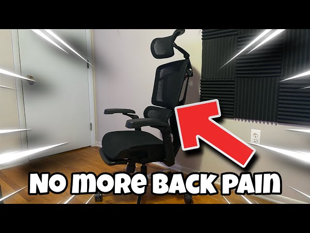 Why Is Everyone Buying This Chair (Flexi Spot Ergo X Pro)