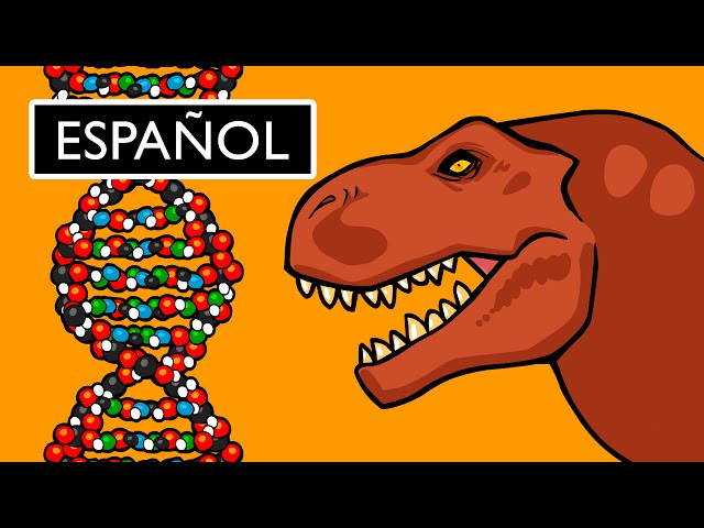 What is DNA and How Does It Work?