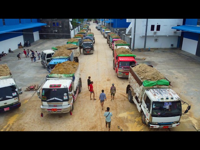 OMG! Incredible Landfill Construction! Massive Dozer KOMAT’SU & Dump Truck 5Ton Team at Work