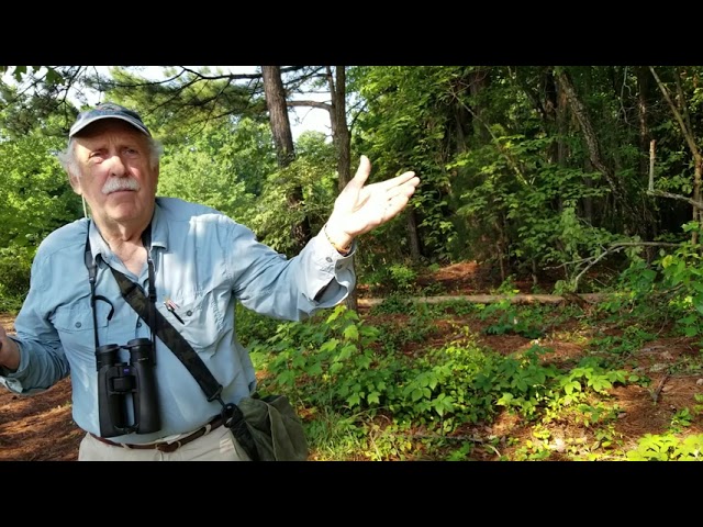 Beginning Bird Watching Tips from Birding Expert Alan Hale