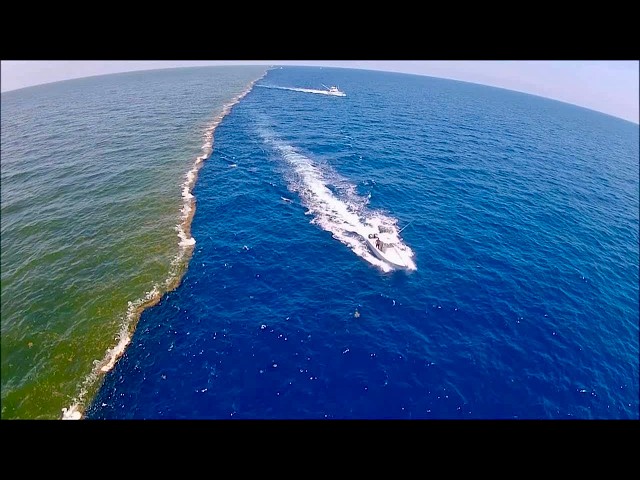 Why These Two Oceans Never Mix | The Real Science Explained