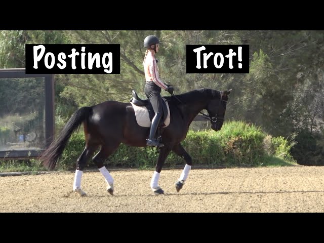 How and Why to Post the Trot