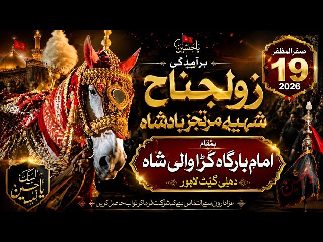 19 Safar 2026 | Baramadgi Zuljinah Shabih-e-Murtajiz Badshah | Chehlum Imam Hussainؑ| Delhi Gate Lhr