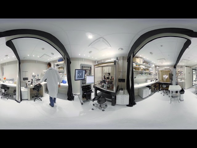 Stem Cell Research, Katriina Aalto-Setälä, Tampere University