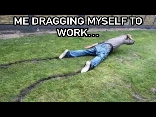 Funny Work Memes So Accurate You’ll Want to Retire Early 😂💼 | HahaHub