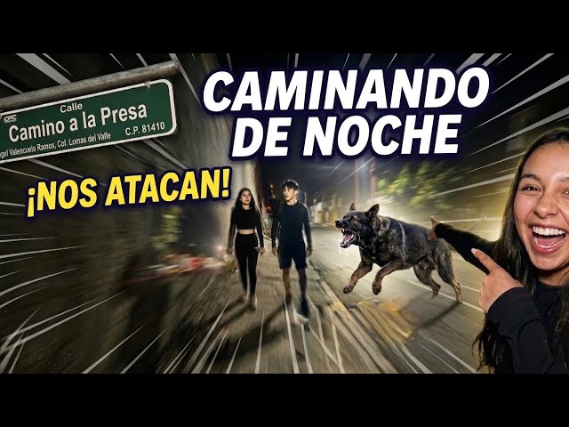 ¡NOS ATACAN!🐕😱Caminando de noche y TODO ESTO PASÓ… Con las Soñadoras y Soñadores 