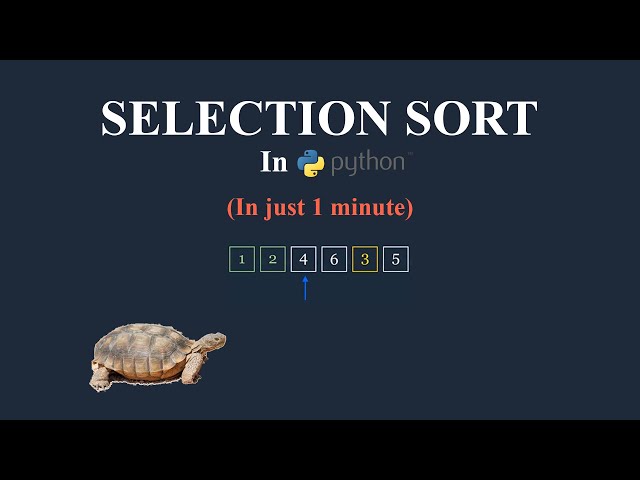 Selection Sort In Python (In 1 minute)