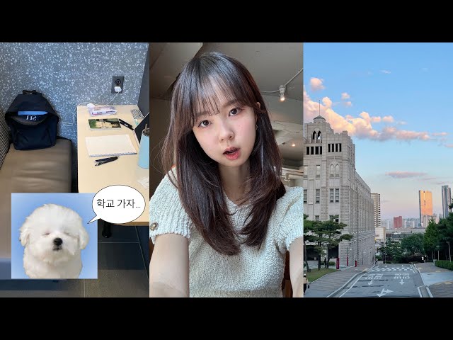 종강? 방학? 너 꿈꿨니? 학교 가야지; 대학생 계절학기 브이로그…🫠
