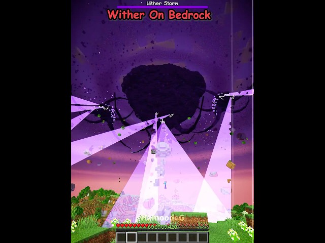 Java Wither VS Bedrock Wither 💀