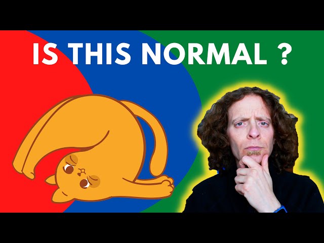 Cat Behavior Problems | Veterinarian Explains What To Look For