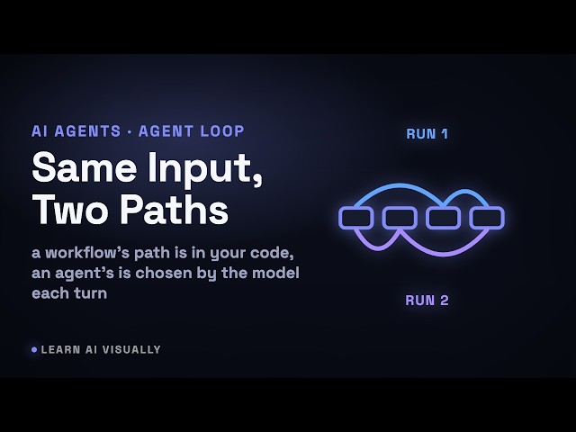 Why Can an AI Agent Take a Different Path for the Same Input? The Model Picks Each Step