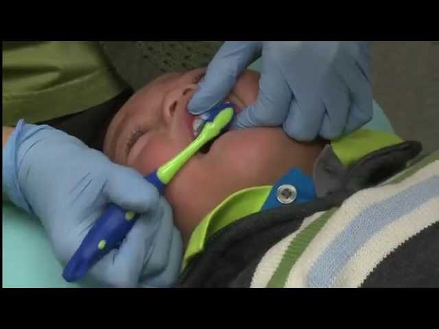 Tooth Brushing for children three and under - The knee-to-knee technique