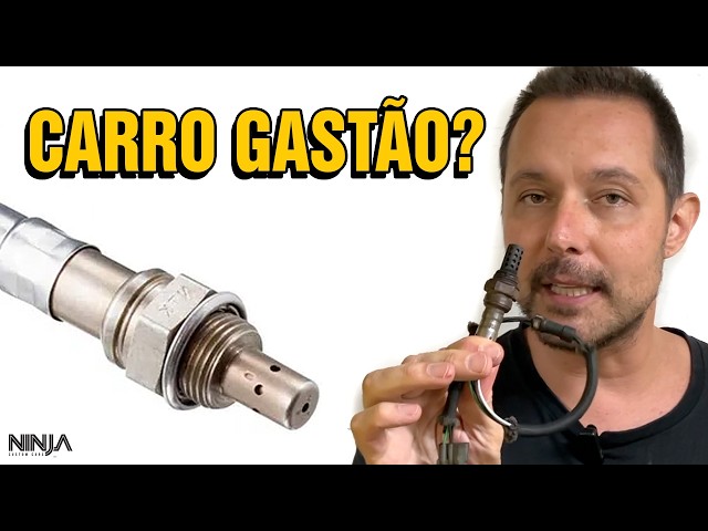 Sonda Lambda: Por que o carro gasta muito? (Mistura Rica, Pobre e Curto Prazo e Longo Prazo)