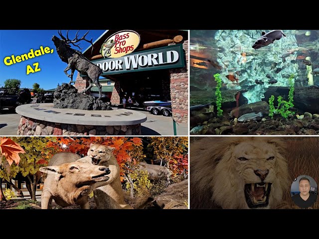 160,000 Sq Ft 🎣  Bass Pro Shop / Cabela's in Glendale AZ Sporting Goods & Outdoor Store