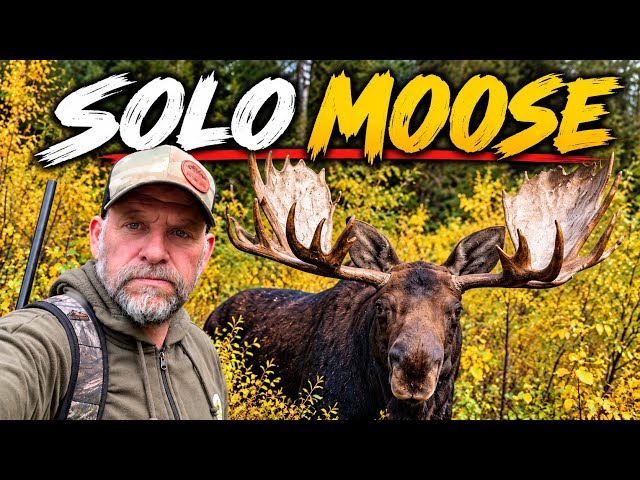Backcountry Hunting | Elk, Moose & a Full Freezer