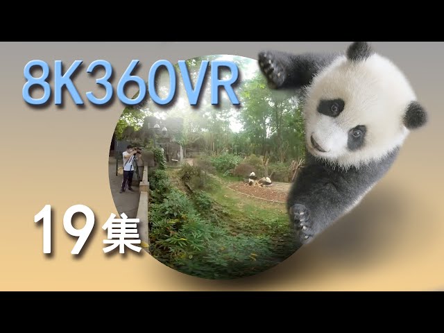 VR panda space15min episode 19 VR熊猫空間19集