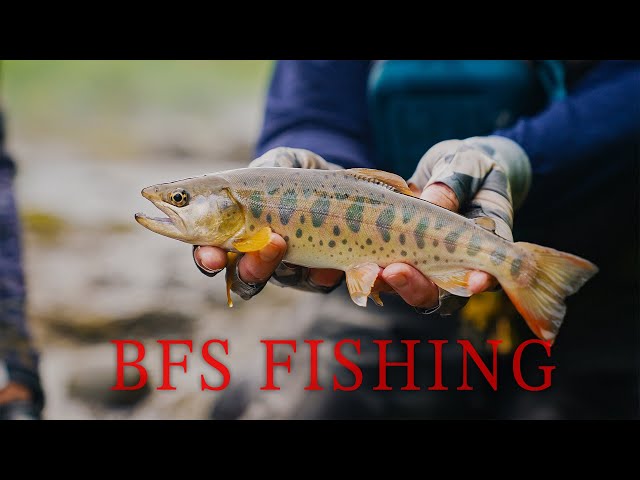Extreme BFS Fishing For Japan's Most Prized Fish!!! Epic BFS Adventure!