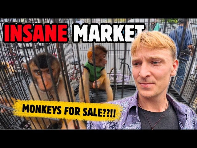 Inside Jakarta’s Exotic Animal Market 🇮🇩