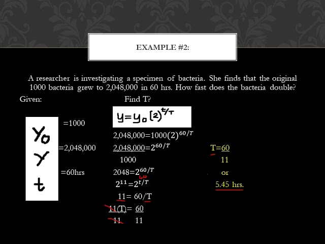 Represent Real Life situation Using Exponential Function   Copy