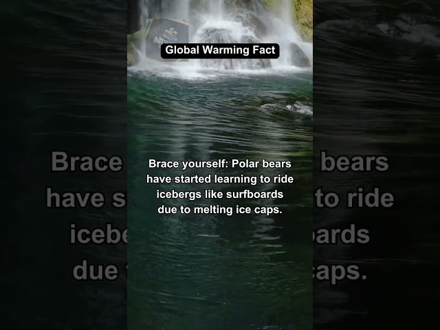 Global Warming Fact #facts #globalwarming #bitesizenexus