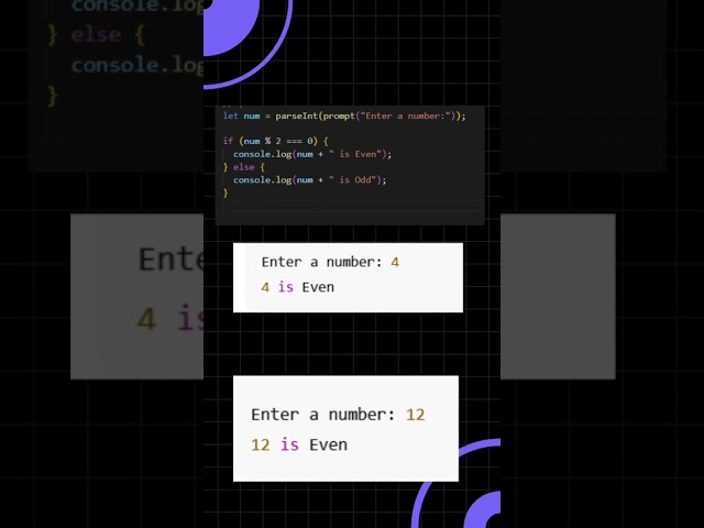 JS Basics for Beginners