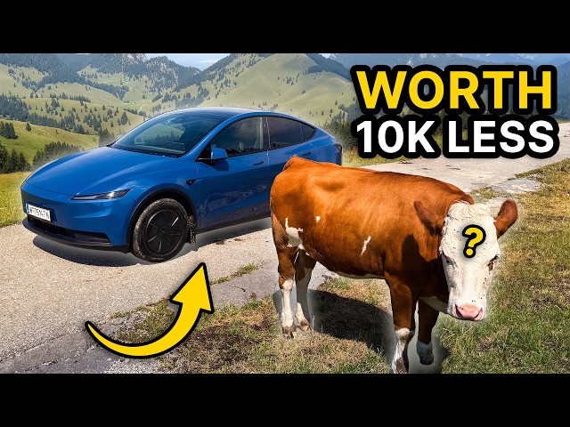 New Coastal Blue Model Y Standard: First Look