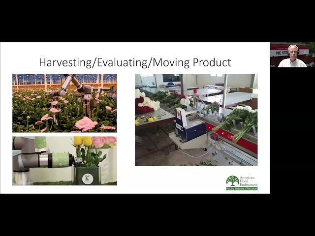 Grow Pro Series: Integrating AI and Technology in Cut Flower Production