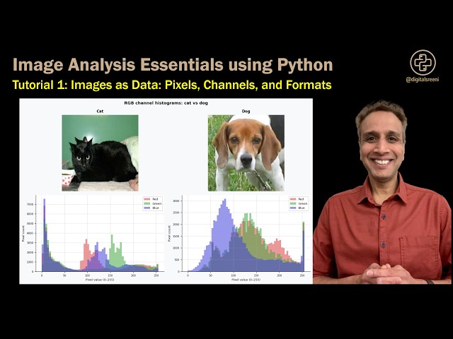 Tutorial 1: Images as Data: Pixels, Channels, and Formats