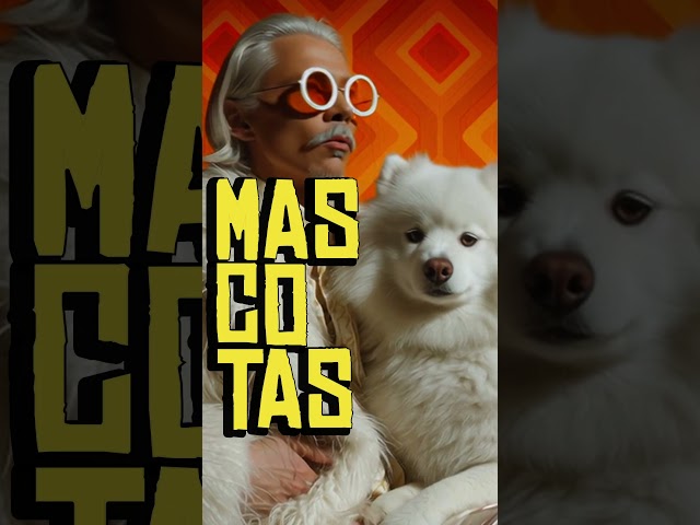 Lenda Siempre Mascotas Nunca Menoscotas