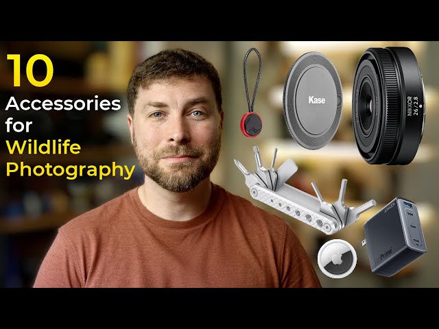 10 AFFORDABLE Accessories for Your Wildlife Photography Bag