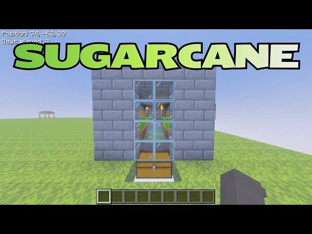 How To Build A EASY Automatic Sugarcane Farm In Minecraft Bedrock 1.21