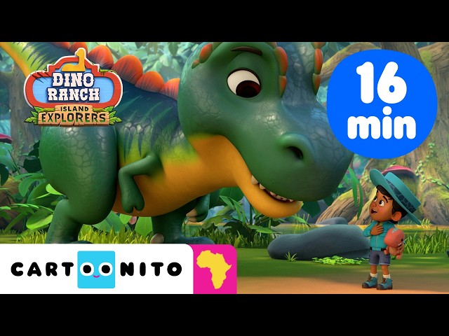 Best Dinosaur Moments 🦕✨ | NEW Dino Ranch: Island Explorers | Cartoonito Africa