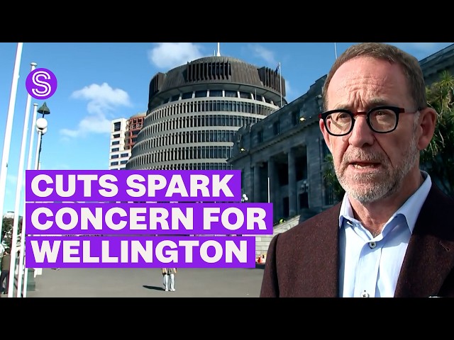 Concerns for Wellington as nearly 1-in-4 public service workers could lose their jobs  | Stuff.co.nz