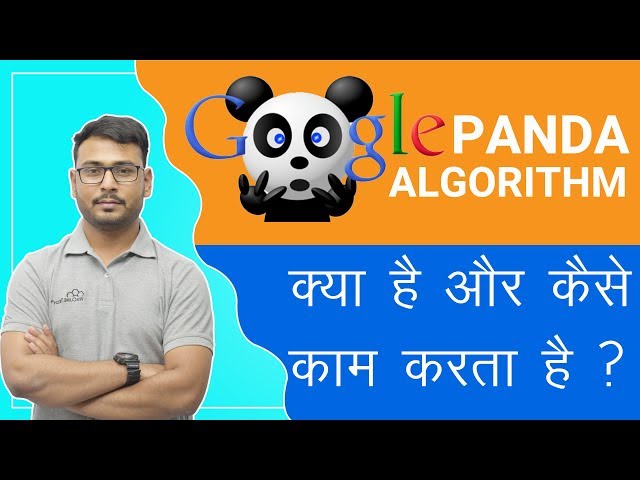 Google panda | Rules of Google algorithm | Ultimate guide of the Panda Update |