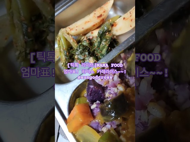 [틱톡 라이브]MAMA FOOD 엄마표! 하이스 카레라이스~~!@sungodcross