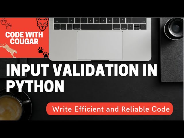 Input Validation in Python | How to validate user input in Python