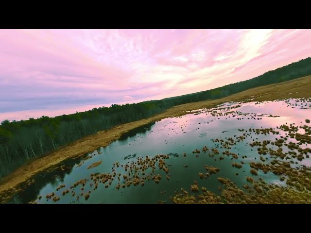 3D 8kVR FPV - FREESTYLE PINE FIELDS - 3D 180VR OCULUS