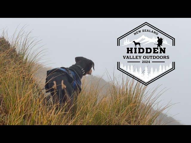 Roar hunting the Ruahines in a Cyclone - 5 days hunting red deer with big game indicating dog