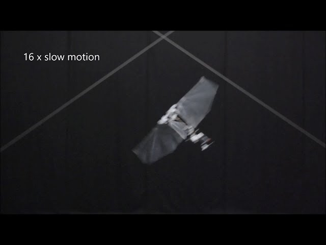 DelFly Nimble flying robot mimics insects