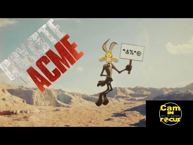 Can In Focus - COYOTE VS ACME First Impressions