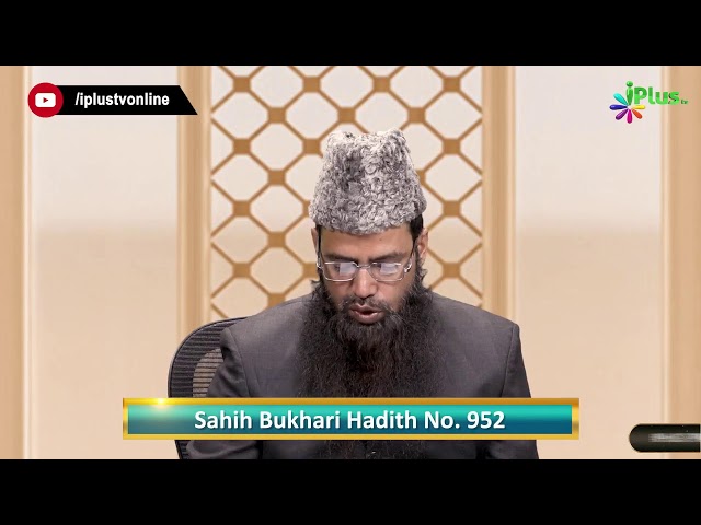 iPlus TV Live - i Plus TV Live