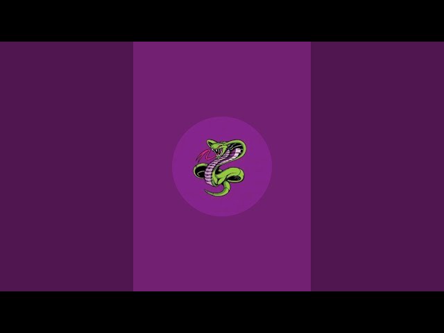 Royal Pythons is live! bgmi