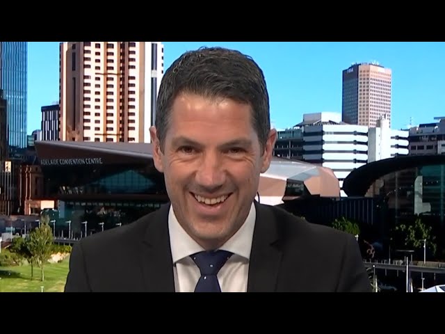 ‘She’s a formidable political operative’: Alex Antic questioned on if he’s joining One Nation
