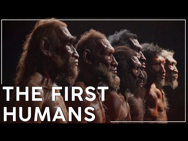 Why is The Paleolithic The Longest Era of Human History?