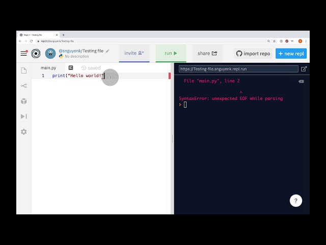 Python Input & Output
