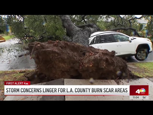 Downed trees, sinkholes and flooding. Rainstorm leaves its mark on LA County
