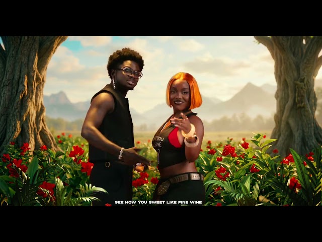 Kuami Eugene & Gyakie - Stranger (Visualizer)
