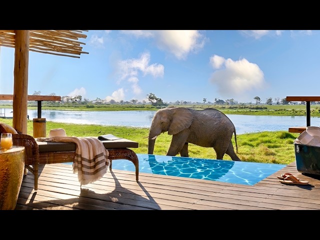 Luxury in Africa | Eagle Island Lodge, a Belmond Safari (Full Tour in 4K)